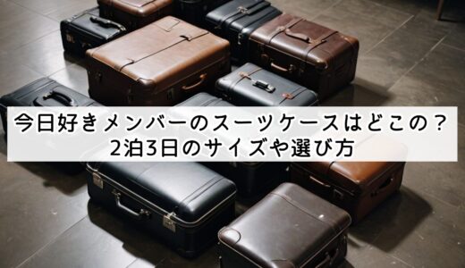 今日好きメンバーのスーツケースはどこの？2泊3日のサイズや選び方