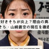 今日好きそらが炎上？理由の真相と中川そら・山崎蒼空の現在を徹底調査